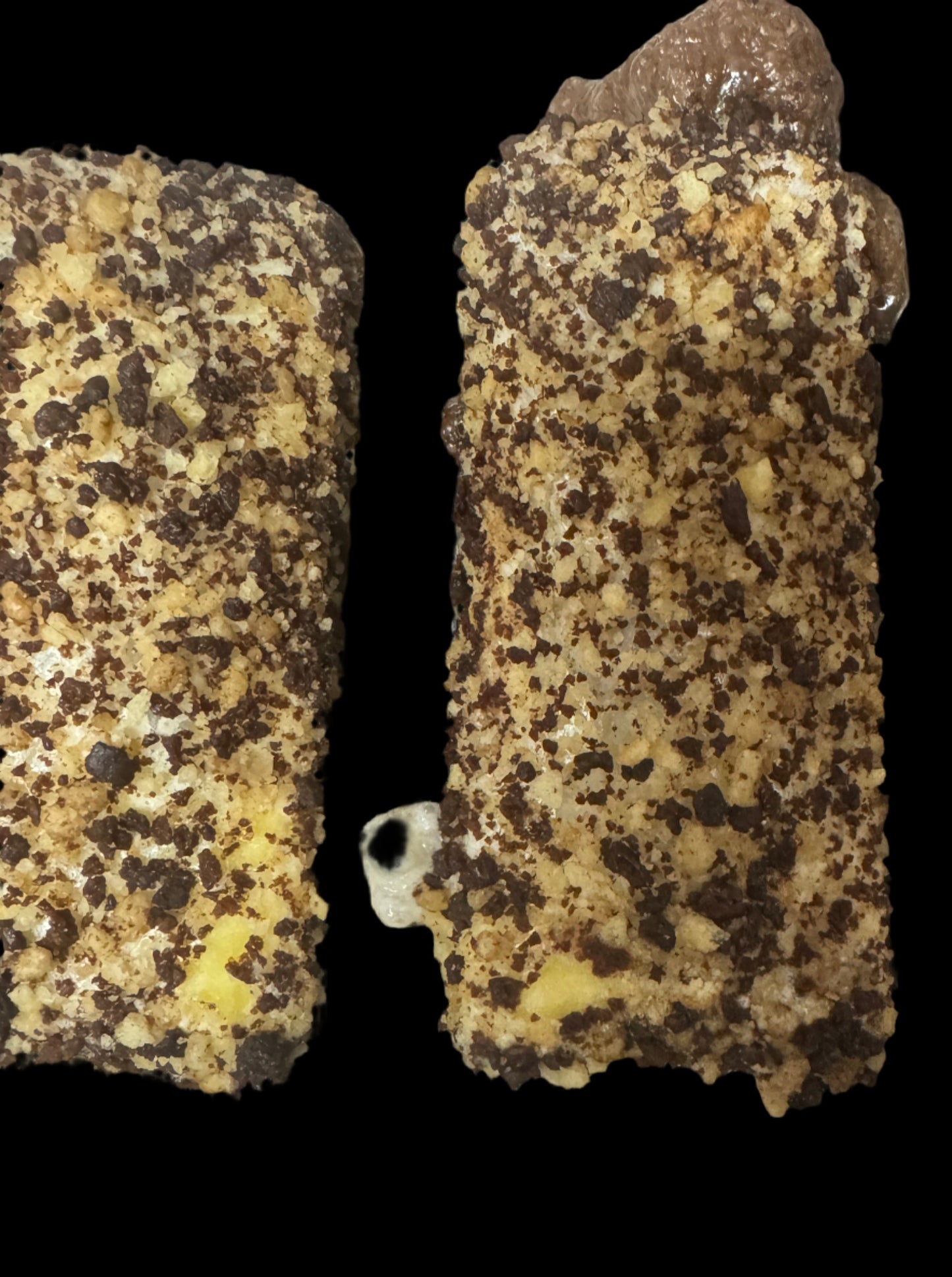 Freeze Dried Chocolate Eclair Ice Cream Bar