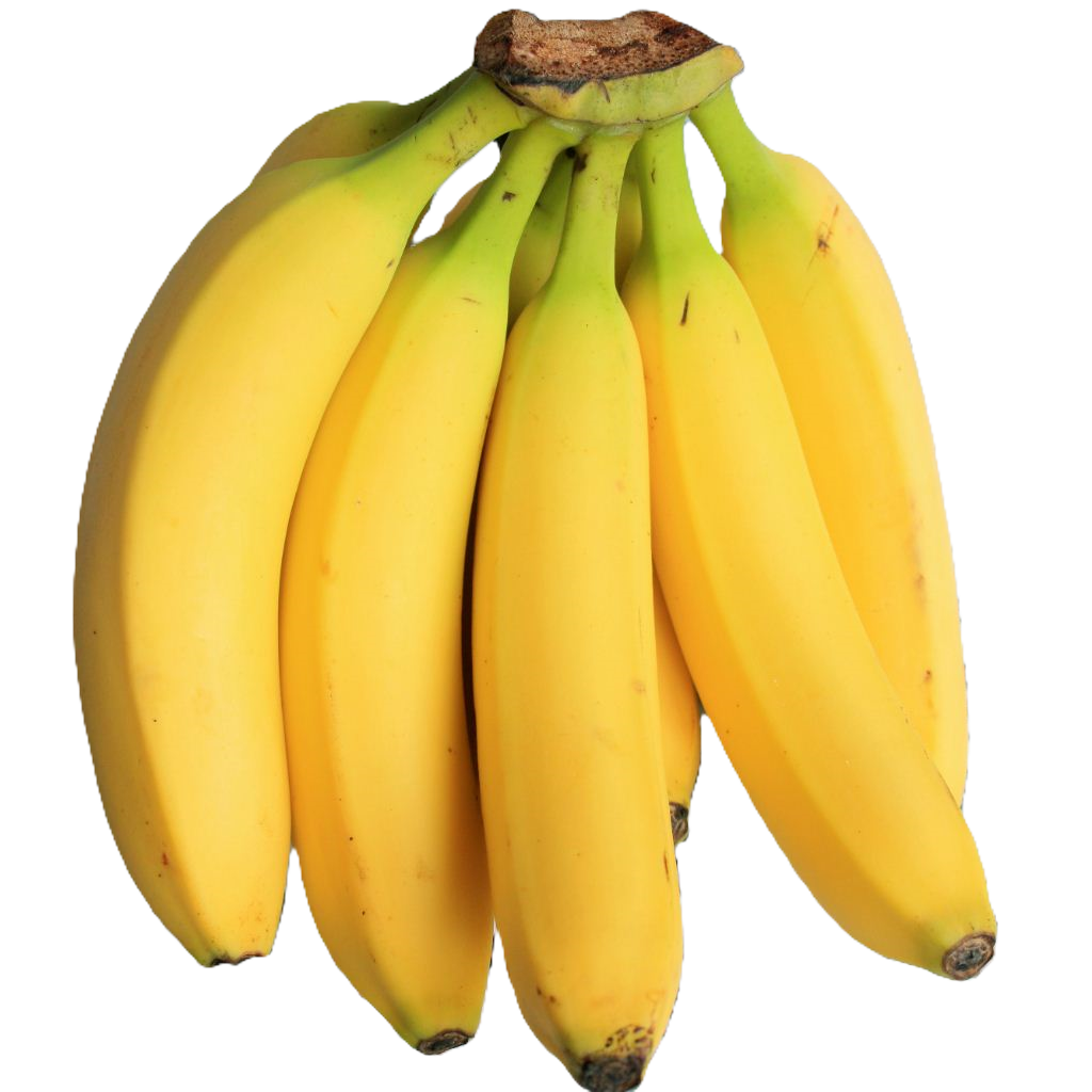 Organic Freeze-Dried Bananas