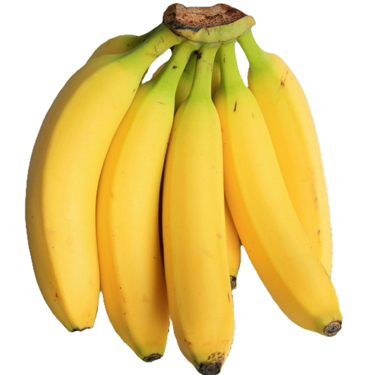 Organic Freeze-Dried Bananas