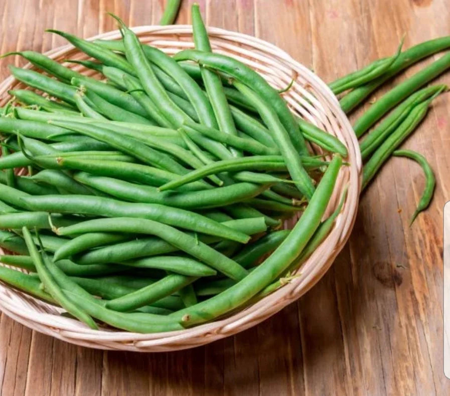 Organic Freeze-Dried Green Beans